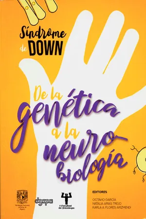 Síndrome de Down. De la genética a la neurobiología