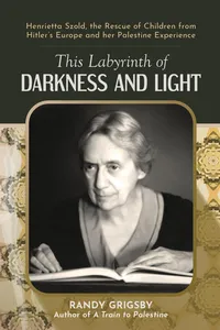 This Labyrinth of Darkness and Light_cover