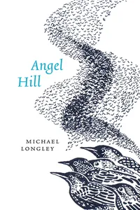 Angel Hill_cover
