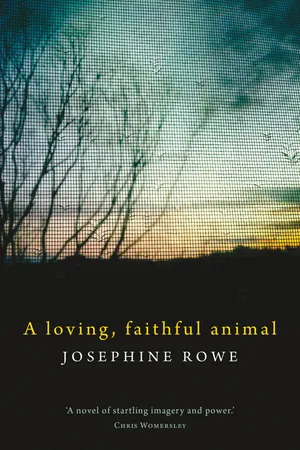 A Loving, Faithful Animal