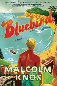Bluebird_cover