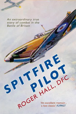 Spitfire Pilot