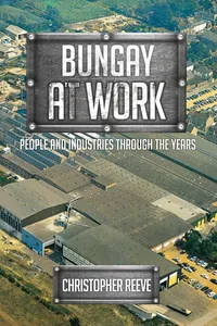 Bungay at Work_cover