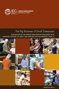 The Big Business of Small Enterprises_cover