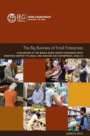 The Big Business of Small Enterprises