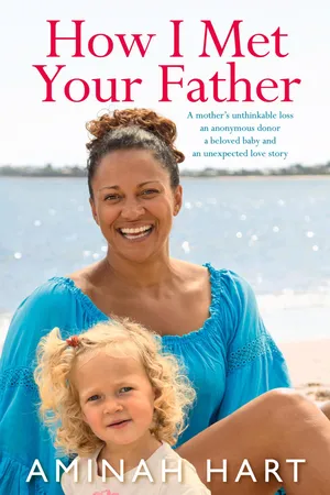 How I Met Your Father