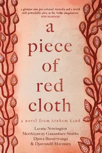 A Piece of Red Cloth_cover