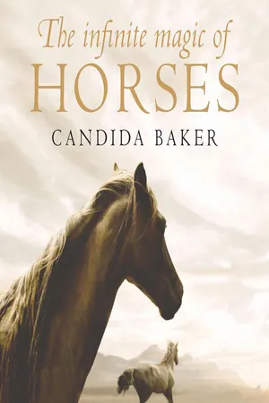 The Infinite Magic of Horses