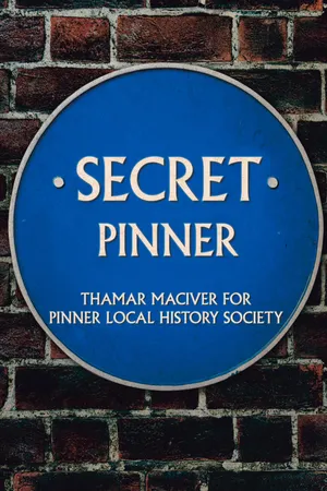Secret Pinner