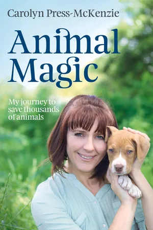 Animal Magic