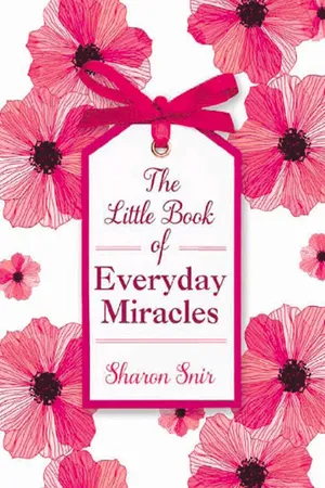 The Little Book of Everyday Miracles