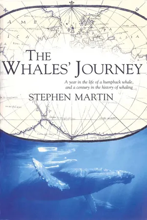 The Whales' Journey