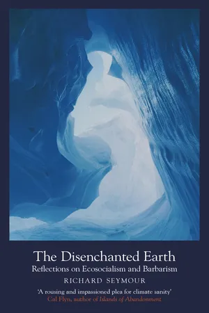 The Disenchanted Earth