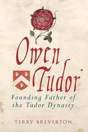 Owen Tudor