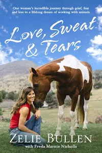 Love, Sweat & Tears_cover