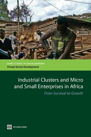 Industrial Clusters and Micro and Small Enterprises in Africa