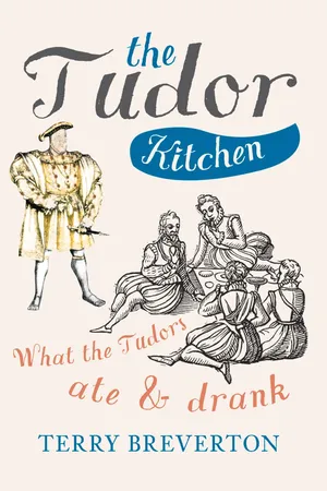 The Tudor Kitchen