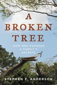 A Broken Tree_cover