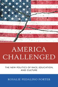 America Challenged_cover