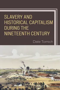 Slavery and Historical Capitalism during the Nineteenth Century_cover