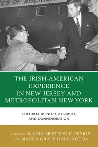The Irish-American Experience in New Jersey and Metropolitan New York_cover
