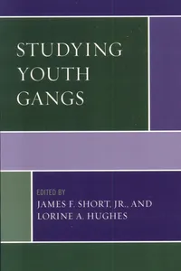 Studying Youth Gangs_cover