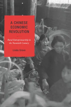 A Chinese Economic Revolution