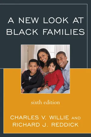 A New Look at Black Families