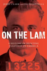 On the Lam_cover