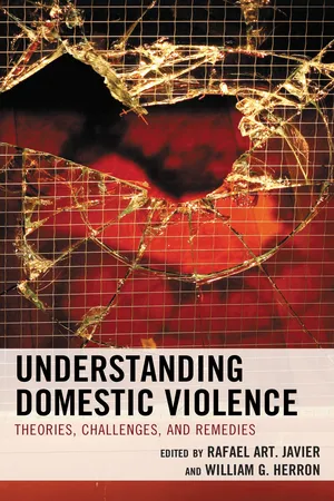 Understanding Domestic Violence