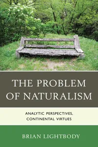 The Problem of Naturalism_cover
