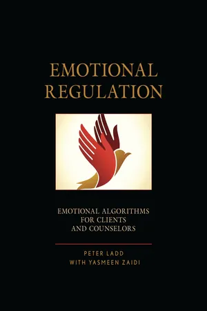 Emotional Regulation