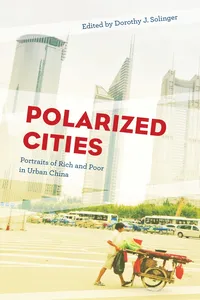 Polarized Cities_cover