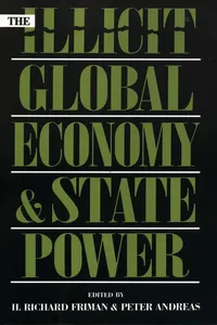 The Illicit Global Economy and State Power_cover