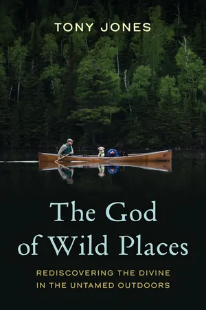 The God of Wild Places