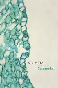 Stomata_cover