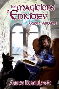 Les magiciens d'enkidiev - T6_cover