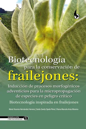 Biotecnología para la conservación de frailejones