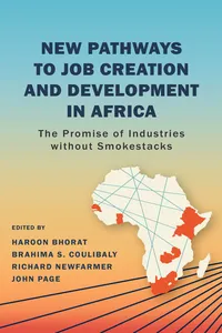 New Pathways to Job Creation and Development in Africa_cover