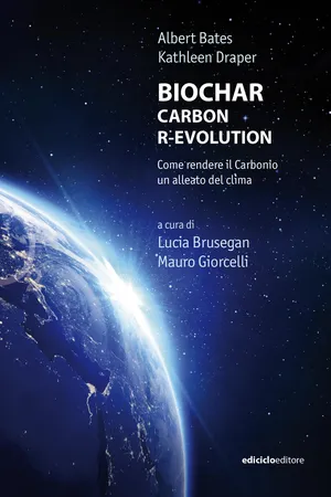BIOCHAR CARBON R-EVOLUTION