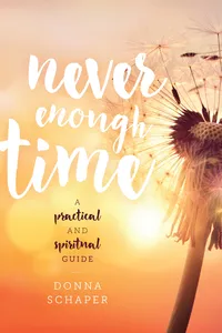 Never Enough Time_cover