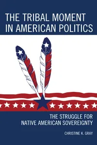 The Tribal Moment in American Politics_cover