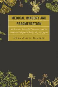 Medical Imagery and Fragmentation_cover