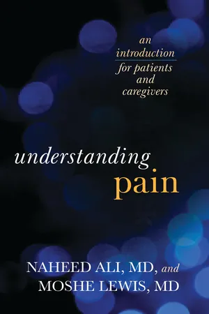 Understanding Pain