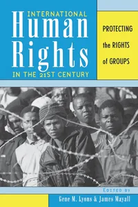 International Human Rights in the 21st Century_cover