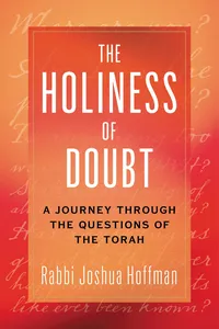 The Holiness of Doubt_cover