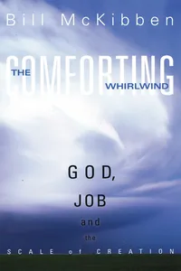 The Comforting Whirlwind_cover