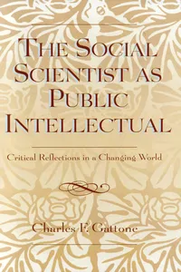 The Social Scientist as Public Intellectual_cover