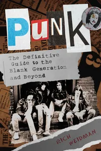Punk_cover