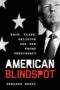 American Blindspot_cover